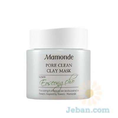 Pore Clean Clay Mask