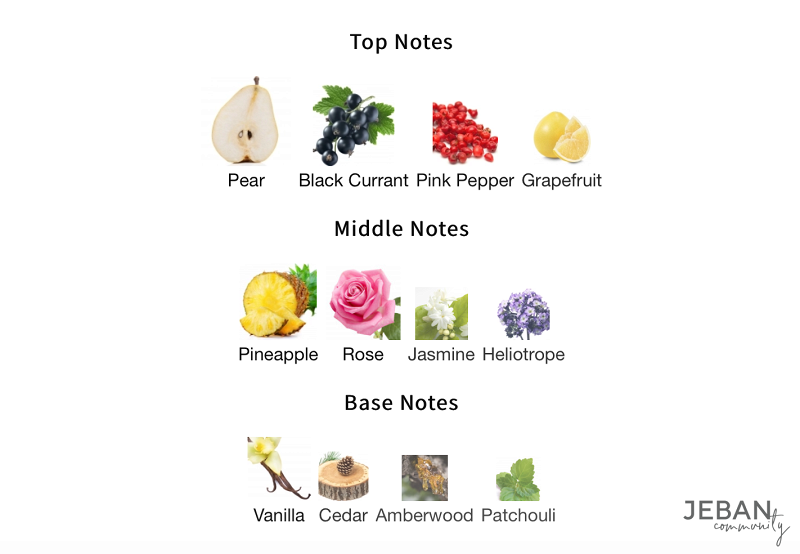 perfume101-top-note-middle-note-base-note