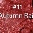 11 Autumn Rain