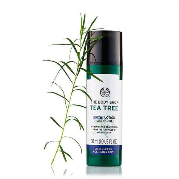 Tea Tree Night Lotion