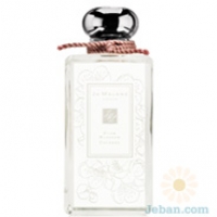 Plum Blossom (limited Edition)