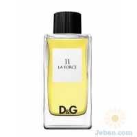 D&G Anthology La Force 11