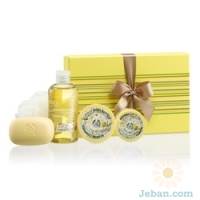 Refreshing Moringa Medium Set  