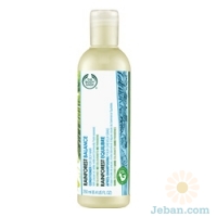 Rainforest Balance Conditioner  