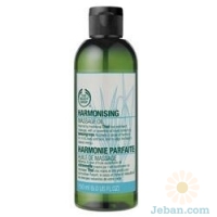 Harmonising Massage Oil