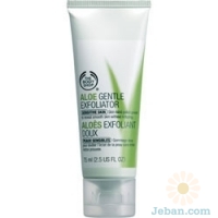 Aloe Gentle Exfoliator