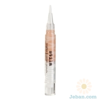 Brighten & Correct Concealer