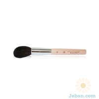 Anastasia Powder Brush