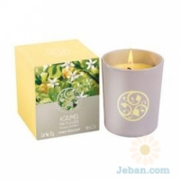 Citrus Flower Perfumed Candle