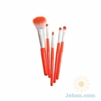 5pc Brush Set