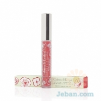 Apricot Orange Shimmer Lip Gloss