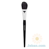 Pro : Precision Blush Brush #73