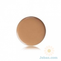 Freedom System Concealer