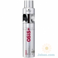 Freeze Finish 2 : Strong Hold Hairspray (Aerosol)