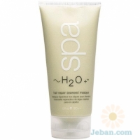 Hair Repair Seaweed Masque