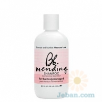 Mending : Shampoo