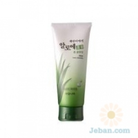 Cleansing Story : Aloe Foam Cleanser