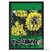 Furze - Art Print