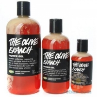 The Olive Branch Shower Gel