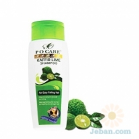 Kaffir Lime : Shampoo