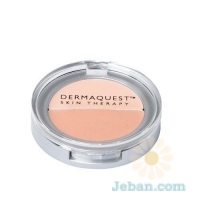 DermaHide Dual Pan Concealer