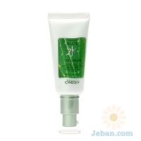 Aloe : Eye Cream