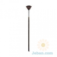 Eye Fan Brush 200