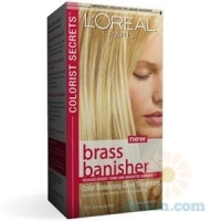 Colorist Secrets™ : Brass Banisher Brass Banisher™