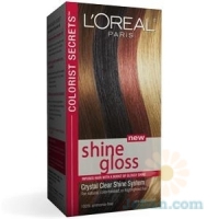 Colorist Secrets™ : Shine Gloss Shine Gloss