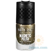 Fishnet Magnetic Polish