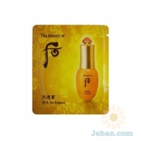 The Heu Gongjinhyang Qi & Jin Essence Pouch