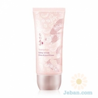 Jinonbit : CC Cream (SPF28,PA++)