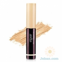 Brow Master Concealer