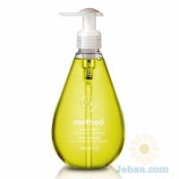 Gel Hand Wash : Lemon Mint