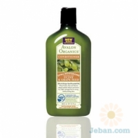 Olive & Grape Seed : Extra Moisturizing Fragrance Free Conditioner