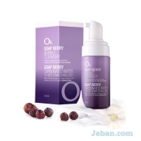 O& Soap Berry Bubble Cleanser