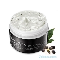 Black Bean Anti-aging Mask