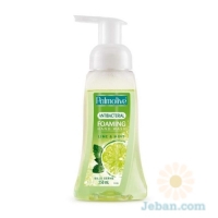 Antibacterial Foaming Hand Wash : Lime & Mint