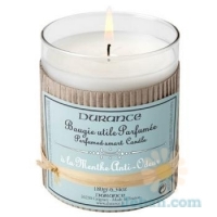 Useful Candle With Mint Anti Odor