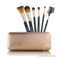 Professional 6 Pc Brush Set w/ Case