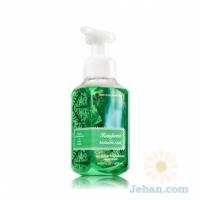 Rainforest Sugarcane : Gentle Foaming Hand Soap