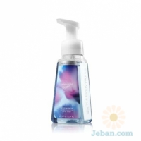 Moonlight Path : Gentle Foaming Hand Soap