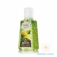 Tuscan Melon : PocketBac Sanitizing Hand Gel