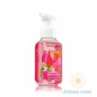 Sweet Pea : Gentle Foaming Hand Soap