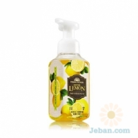 Meyer Lemon : Gentle Foaming Hand Soap