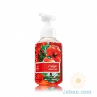 Mango Hibiscus : Gentle Foaming Hand Soap