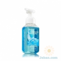 Dancing Waters : Gentle Foaming Hand Soap