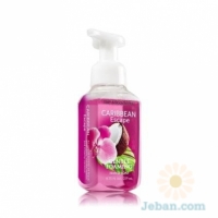 Caribbean Escape : Gentle Foaming Hand Soap