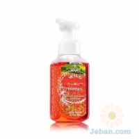 Wild Poppies : Gentle Foaming Hand Soap