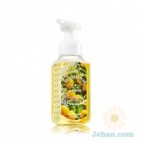 Mediterranean Lemon : Gentle Foaming Hand Soap